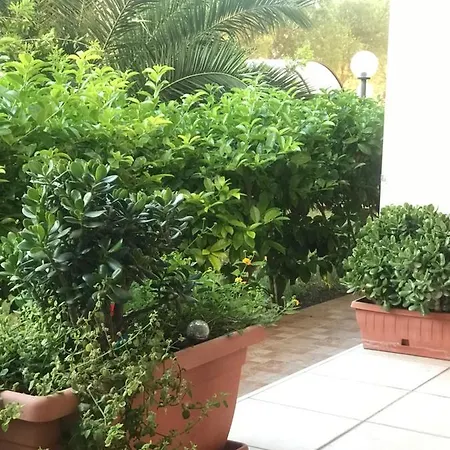 La Pigna Lägenhet Grottaglie